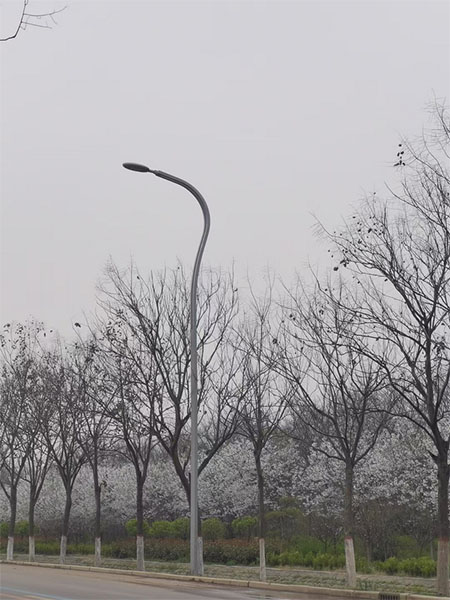 异形灯具31