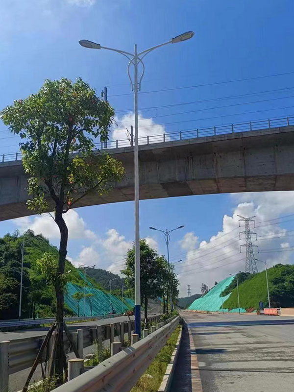 LED路灯037