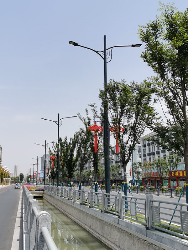 共杆路灯017