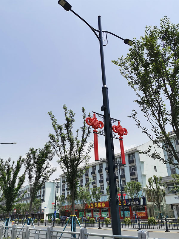 共杆路灯018