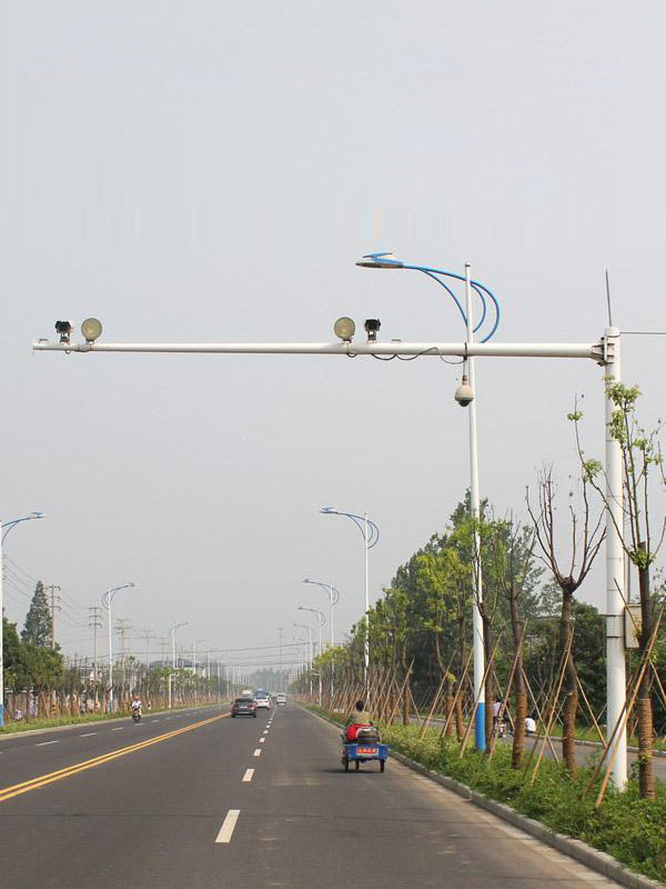 共杆路灯019
