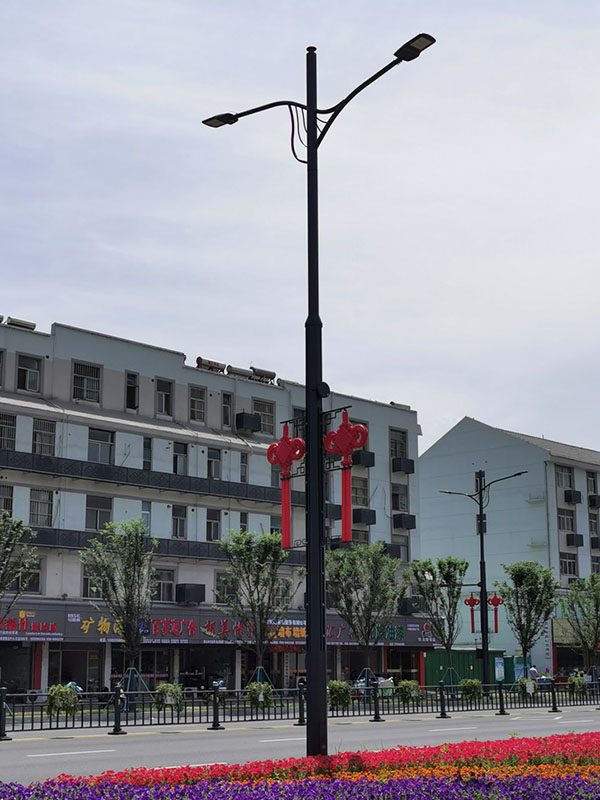 共杆路灯022