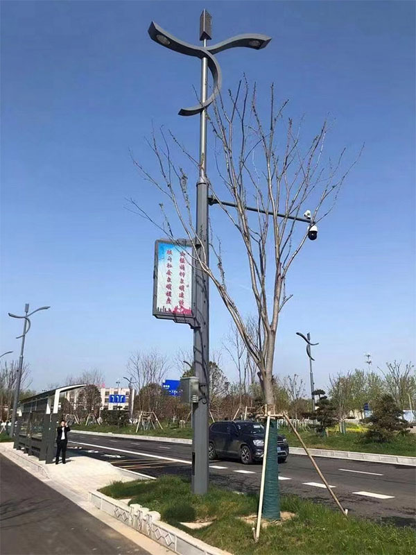 共杆路灯027