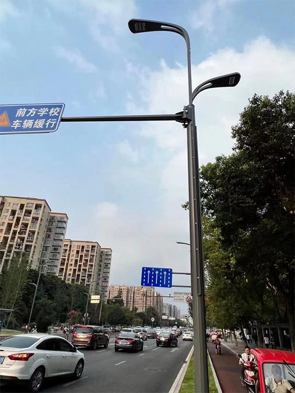 共杆路灯029